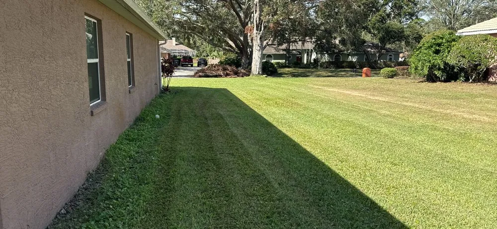 Top-rated residential landscaping in Zephyrhills, FL by Cox & Family Lawn Care