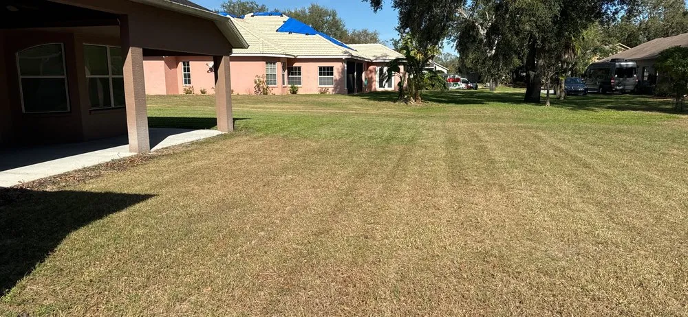 Custom lawn care service experts serving Zephyrhills, FL - Cox & Family Lawn Care