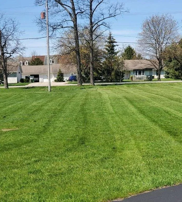 Top-rated lawn care service in Marne, MI by Cox Enterprises Lawn Care and Snow Removal