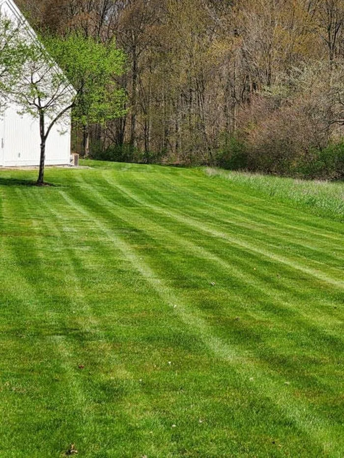 Custom landscaping services near you in Marne, MI by Cox Enterprises Lawn Care and Snow Removal