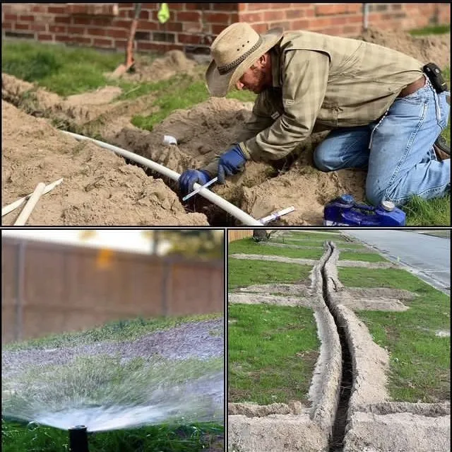Trusted garden landscaping experts serving Elgin, TX - Cox Irrigation