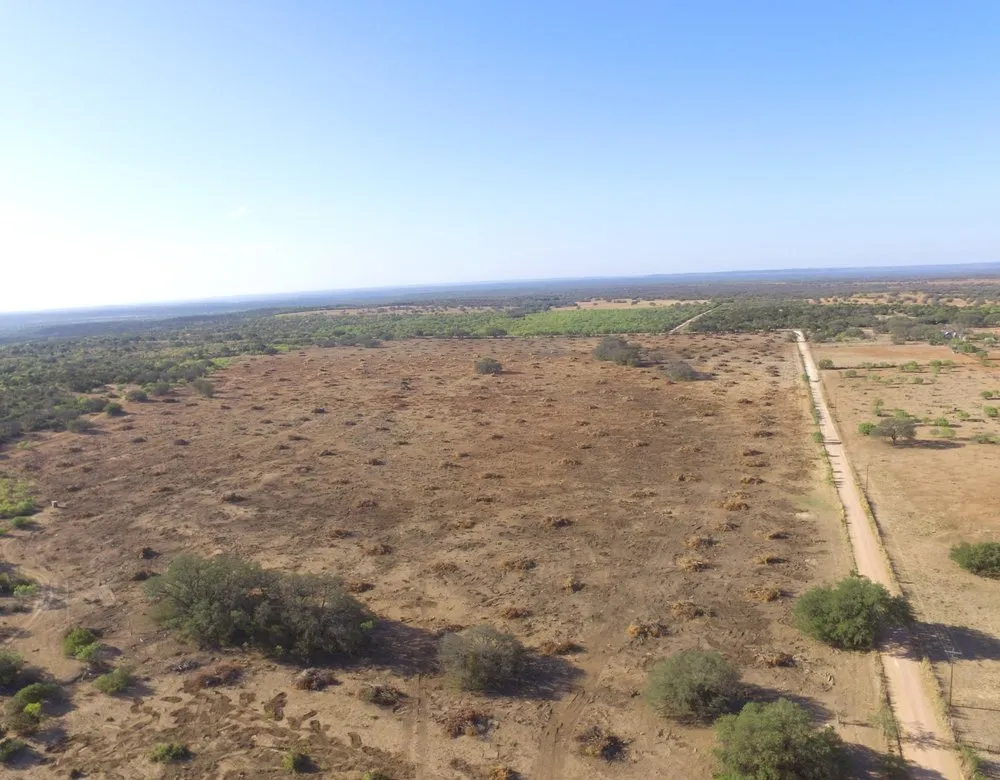 Local outdoor landscaping with custom design in San Marcos, TX by Cox Land Services