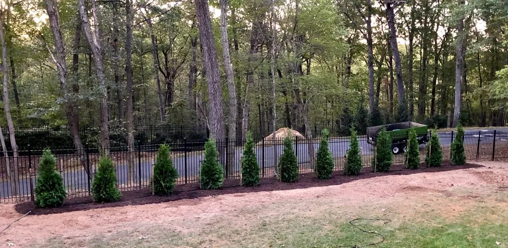 Professional landscaping services in McLean, VA by Cox Landscape Contractors