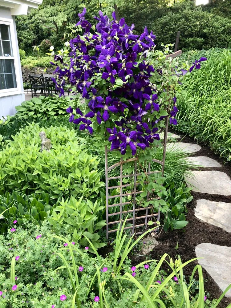 Top-rated residential landscaping for homes in McLean, VA by Cox Landscape Contractors