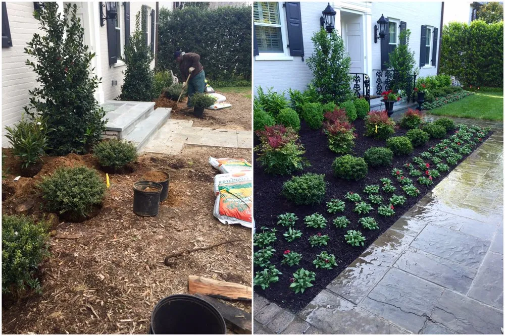 Expert landscaping services for year-round maintenance across McLean, VA - Cox Landscape Contractors
