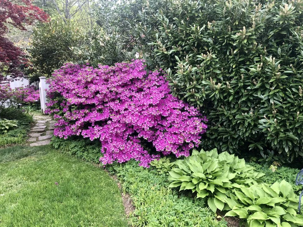 Expert landscape installation in McLean, VA by Cox Landscape Contractors