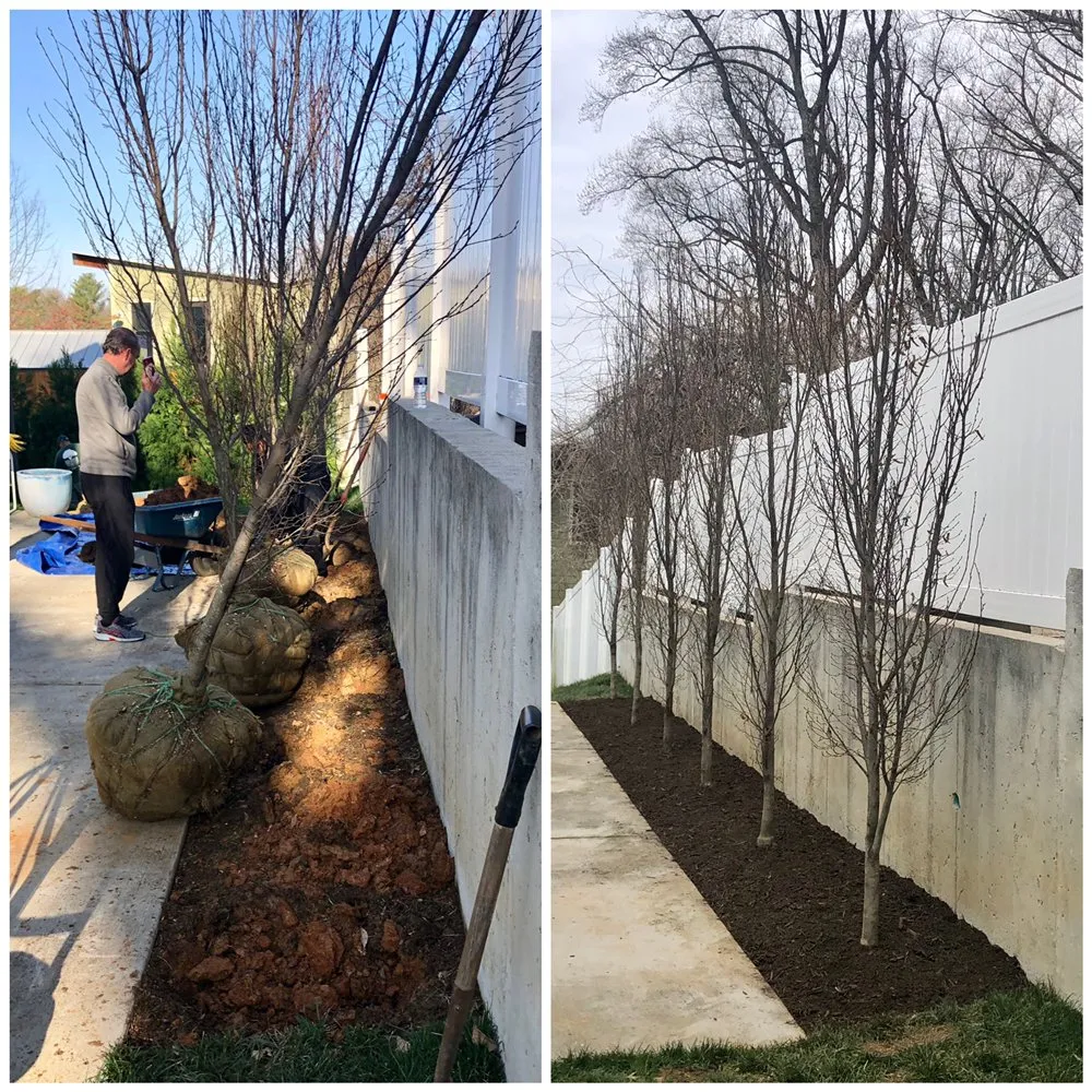 Expert residential landscaping experts serving McLean, VA - Cox Landscape Contractors