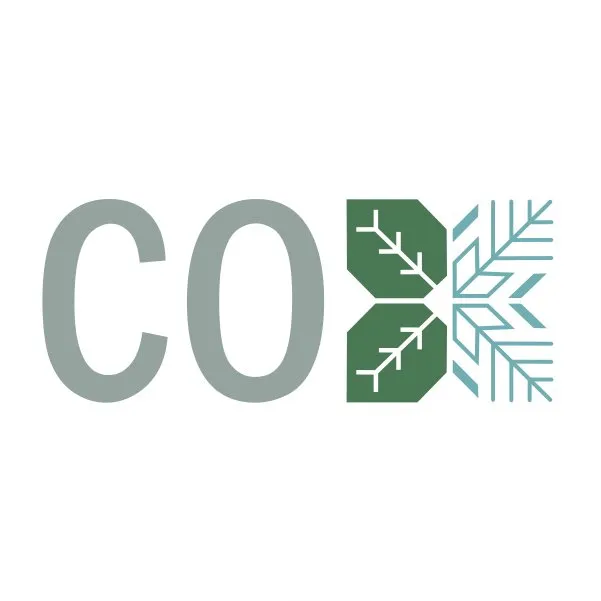 Professional landscape design in McLean, VA by Cox Landscape Contractors