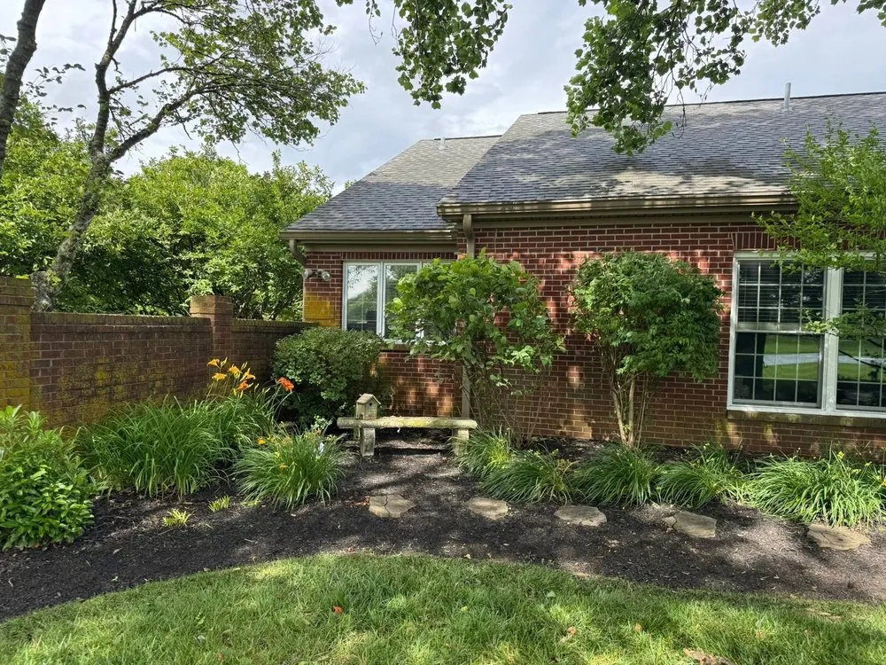 Local yard cleanup service experts serving Nicholasville, KY - Cox Landscapes