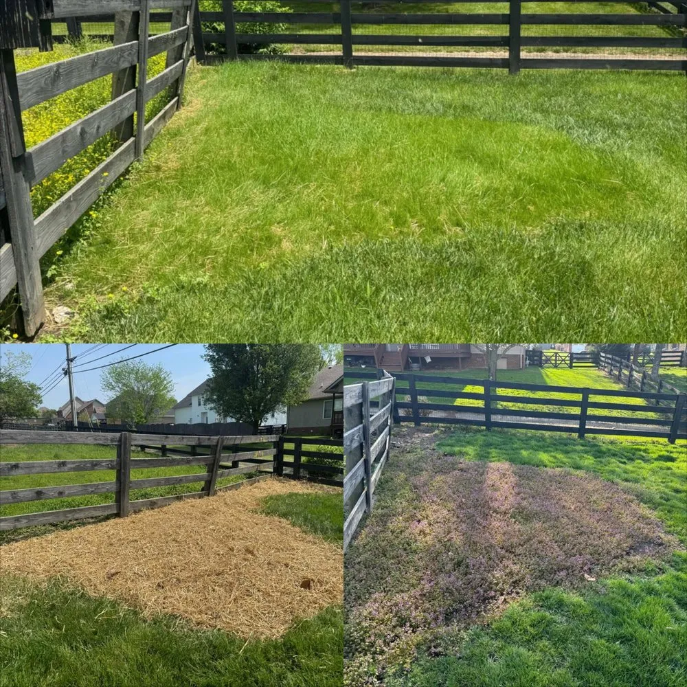 Local yard maintenance in Nicholasville, KY by Cox Landscapes