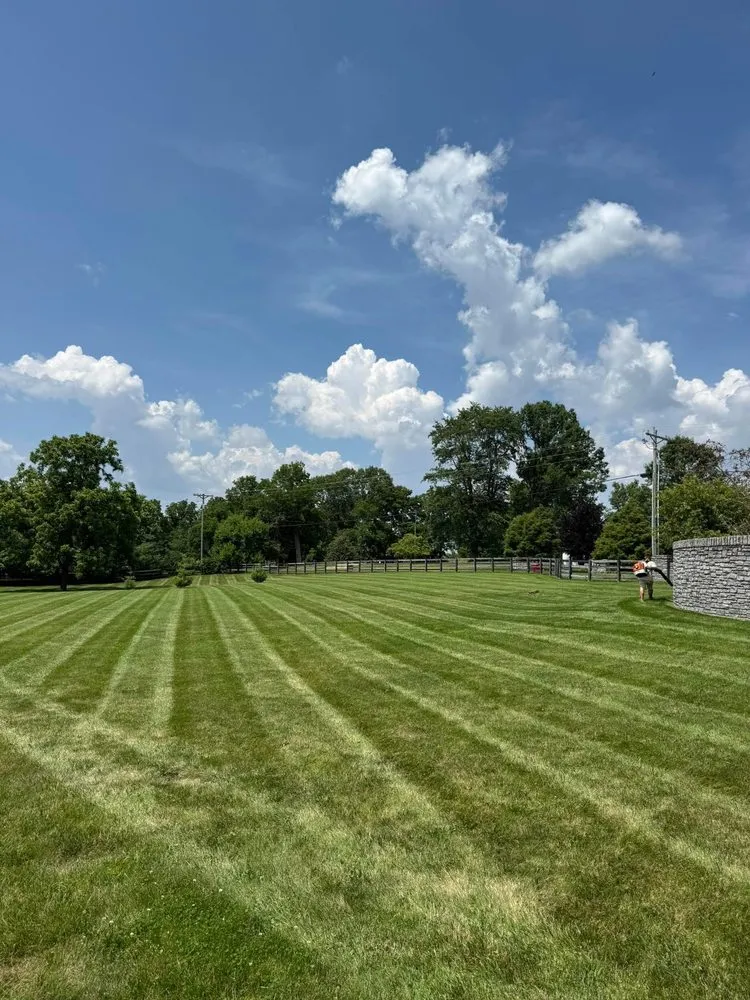 Professional landscape installation for beautiful yards in Nicholasville, KY by Cox Landscapes