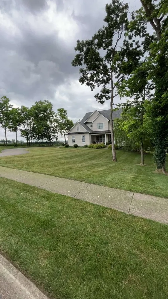 Affordable yard maintenance experts serving Nicholasville, KY - Cox Landscapes