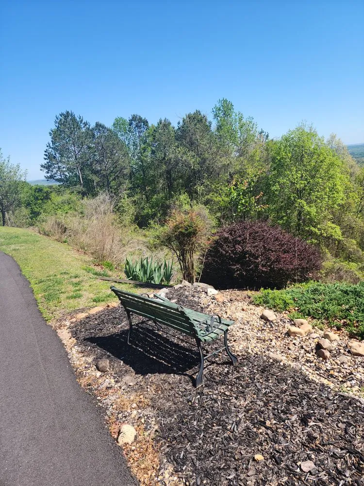Top-rated yard cleanup service for year-round maintenance in Demorest, GA by cox lawn care & tree service