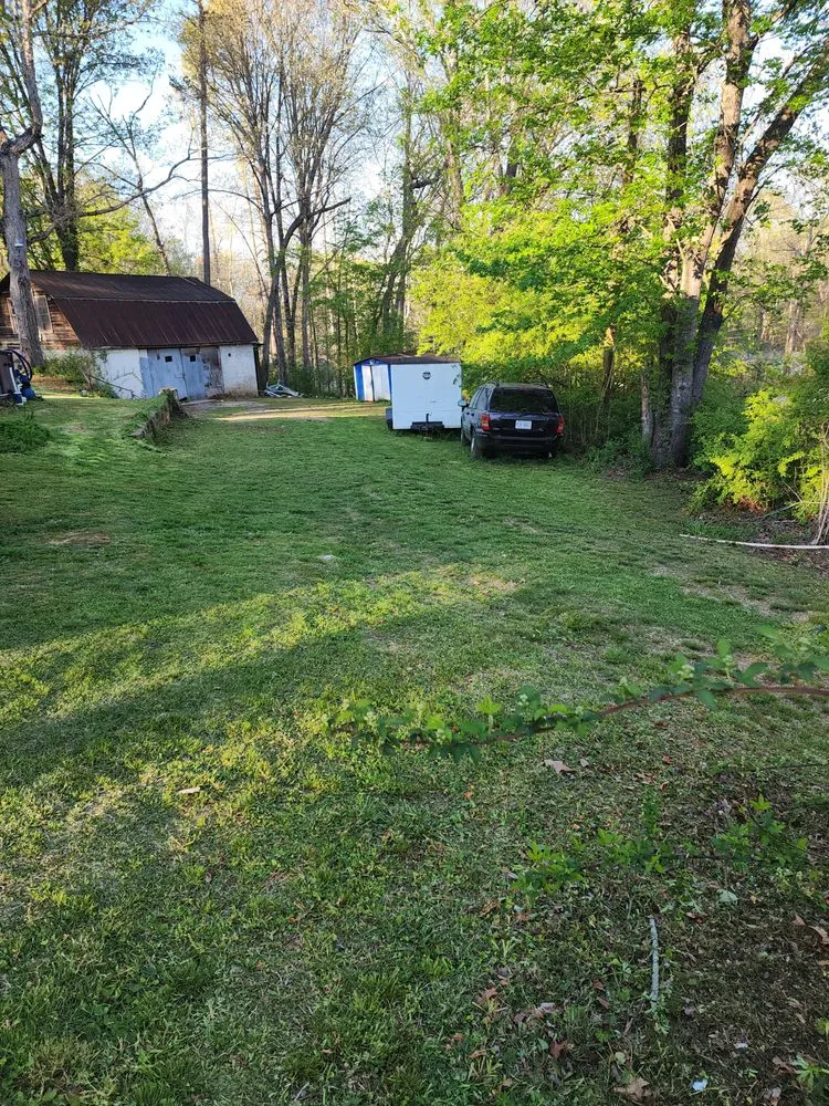 Trusted lawn care service experts serving Demorest, GA - cox lawn care & tree service