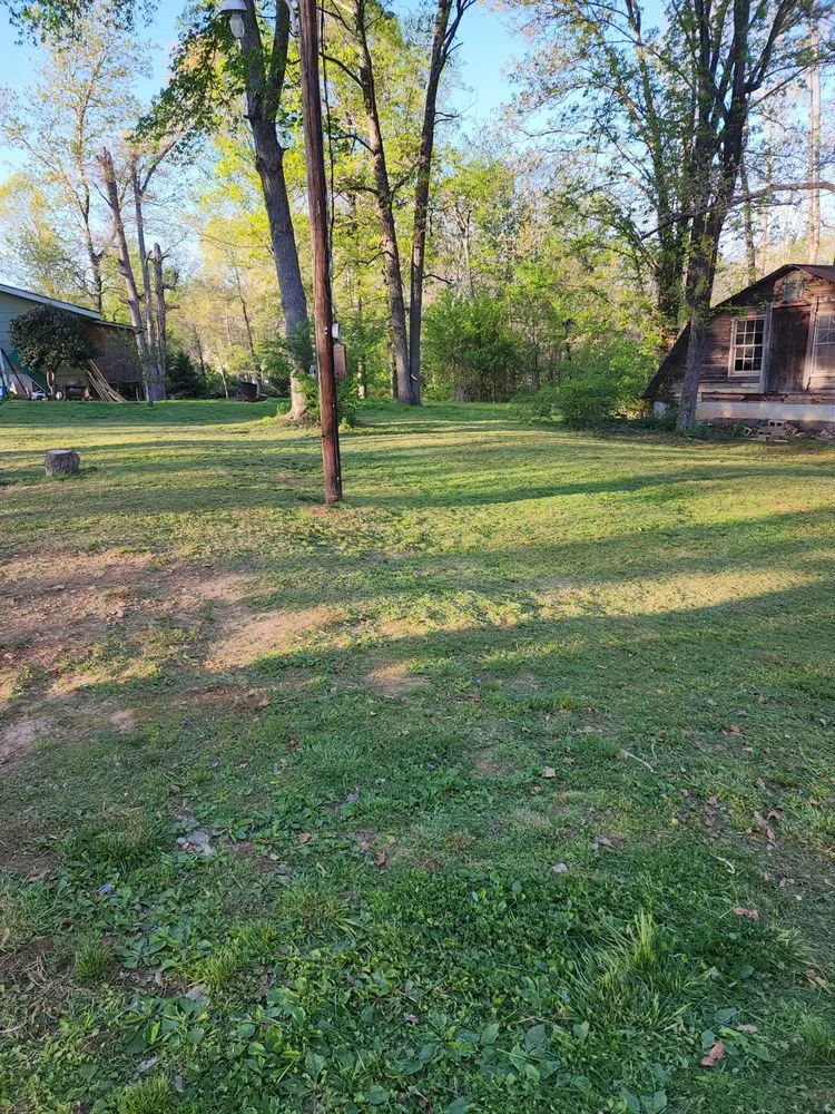 Expert landscape installation experts serving Demorest, GA - cox lawn care & tree service