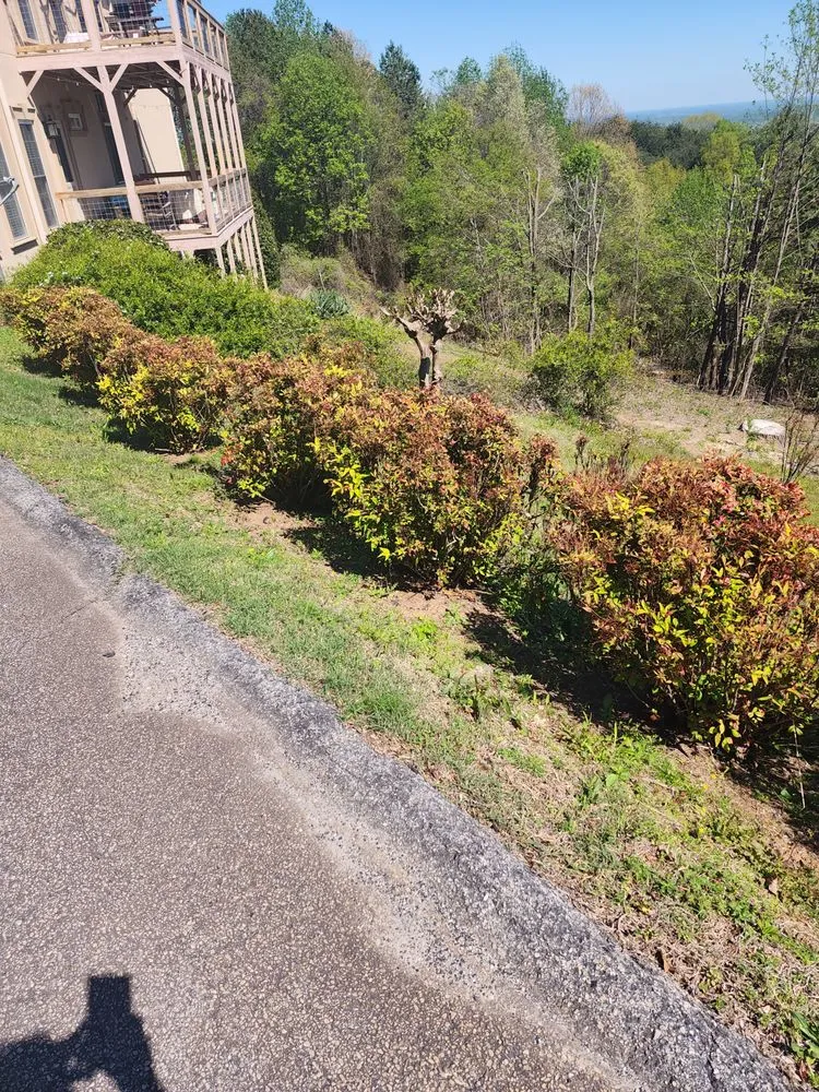 Professional landscape installation in Demorest, GA - cox lawn care & tree service