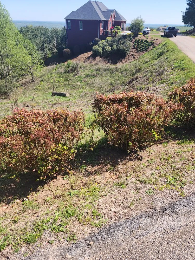 Top-rated landscaping services experts serving Demorest, GA - cox lawn care & tree service