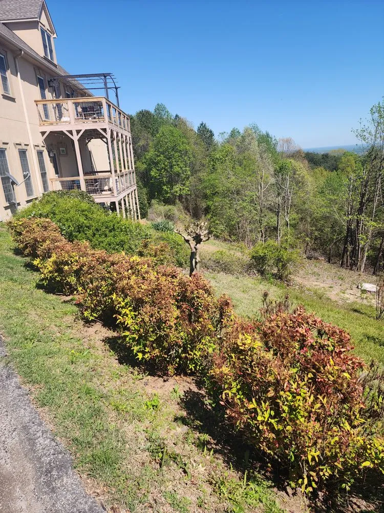 Expert lawn care service for year-round maintenance across Demorest, GA - cox lawn care & tree service