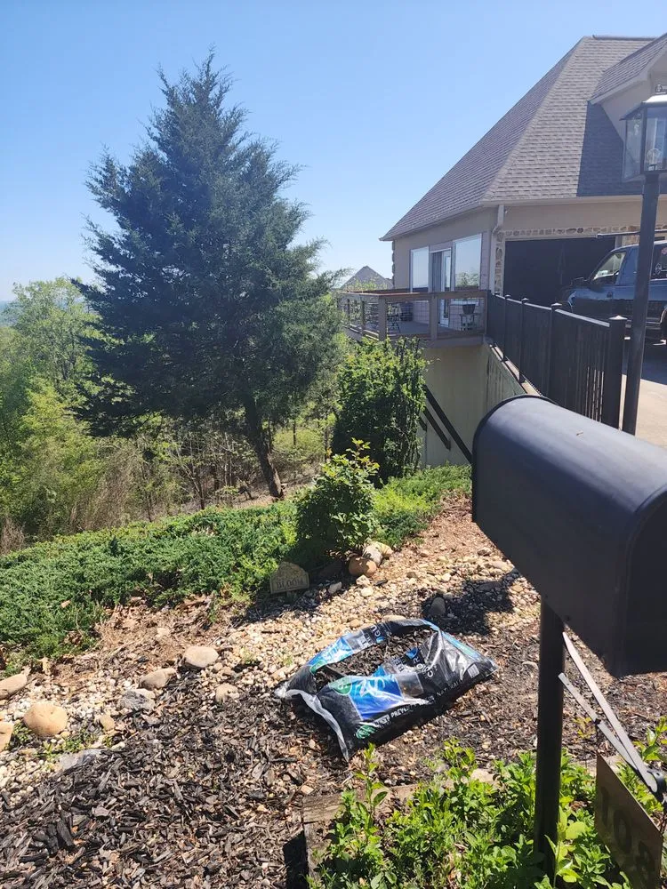 Custom yard maintenance with custom design across Demorest, GA - cox lawn care & tree service