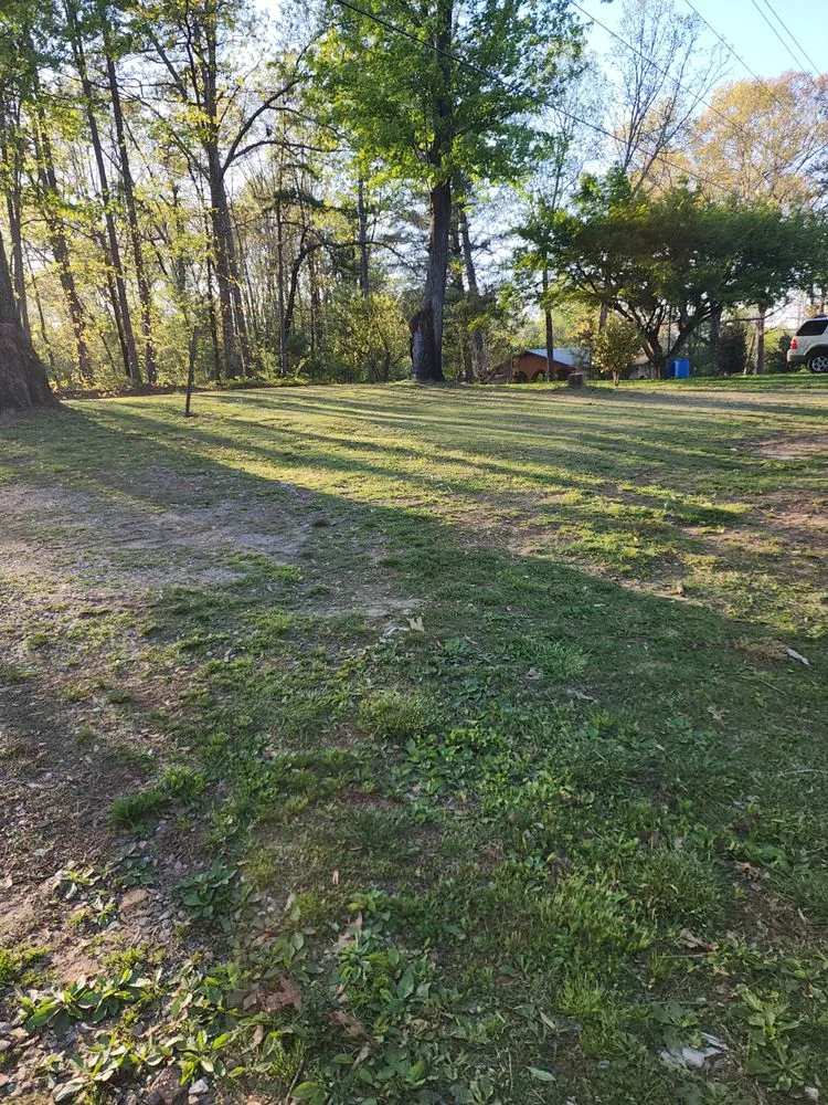 Reliable landscape installation for homes across Demorest, GA - cox lawn care & tree service