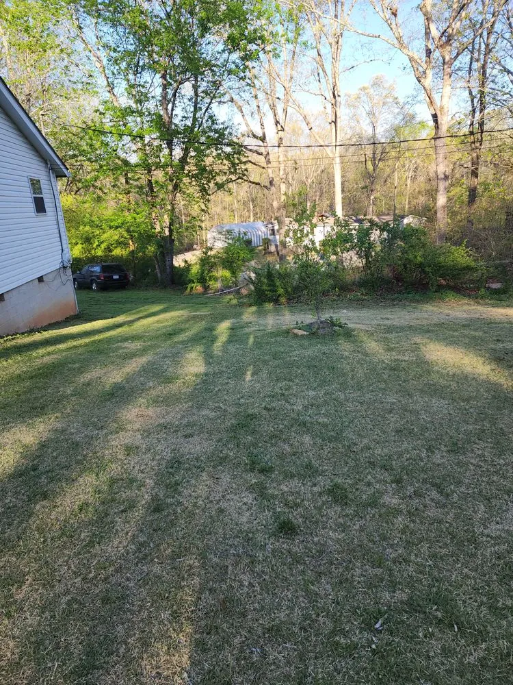 Professional yard cleanup service in Demorest, GA by cox lawn care & tree service