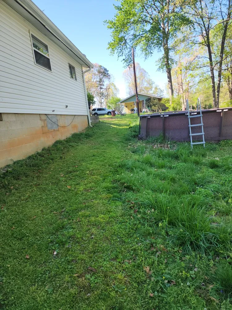 Professional lawn mowing service near you in Demorest, GA by cox lawn care & tree service