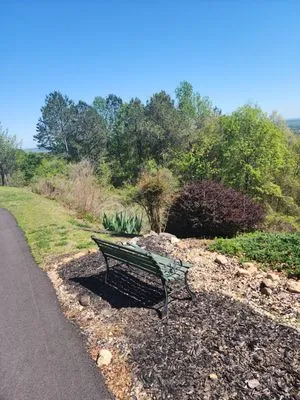 cox lawn care & tree service