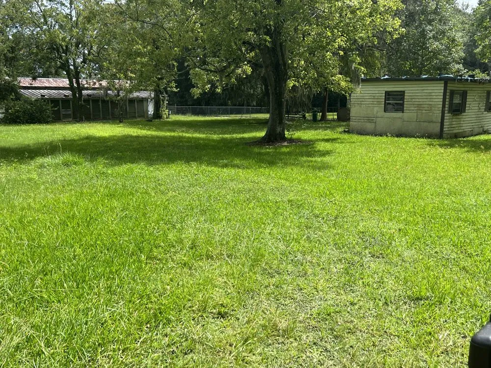 Reliable outdoor landscaping in Saint Augustine, FL - Cox Lawn Maintenance & Pressure Washing