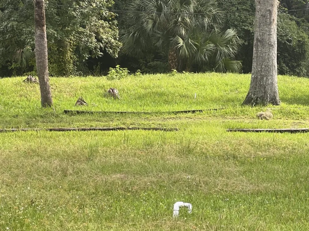 Local garden landscaping in Saint Augustine, FL by Cox Lawn Maintenance & Pressure Washing