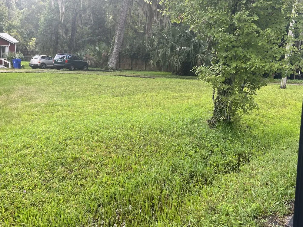 Professional landscape installation in Saint Augustine, FL - Cox Lawn Maintenance & Pressure Washing