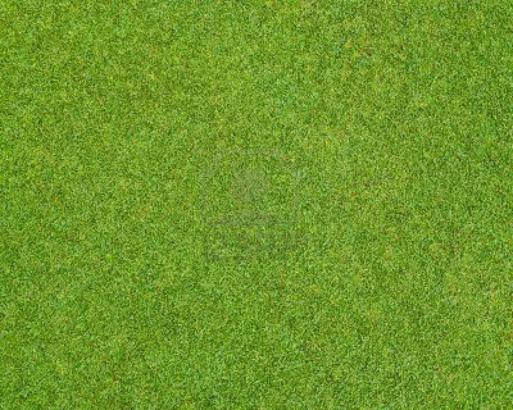 Professional landscape installation experts serving Savannah, MO - Cox Lawn Service