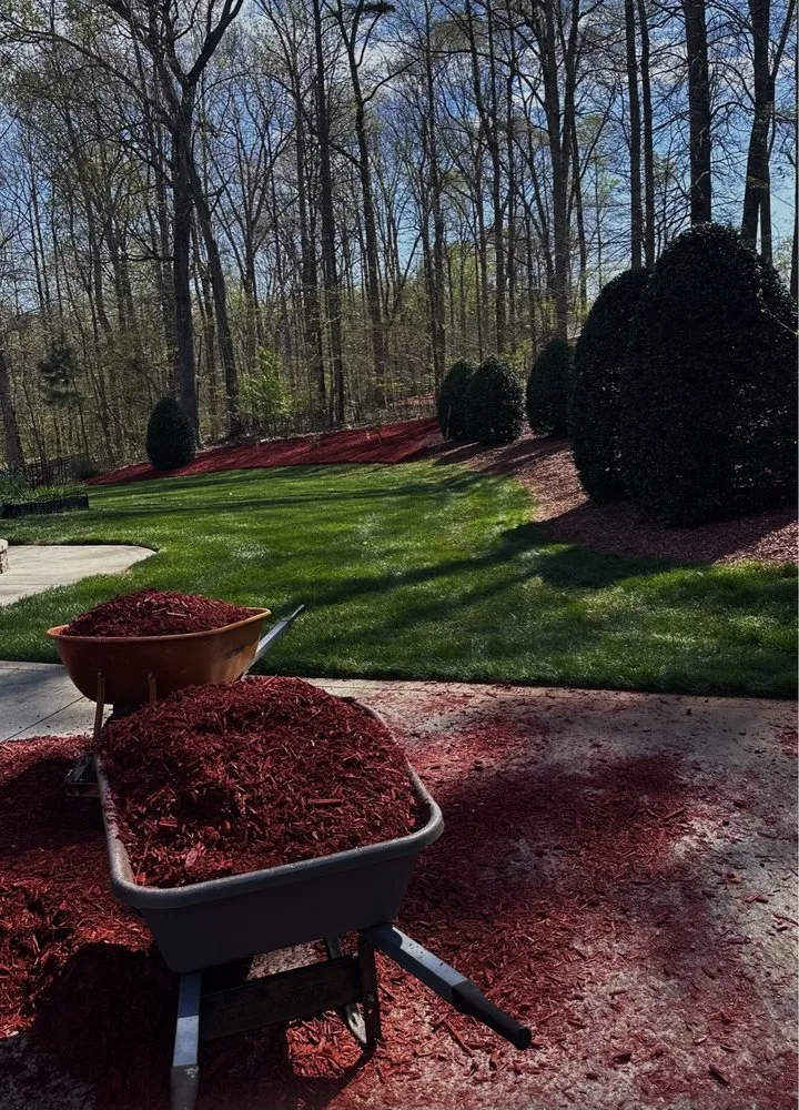 Reliable lawn care service experts serving Gastonia, NC - Cox Lawn Solutions