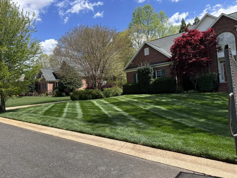 Top-rated landscaping services in Gastonia, NC by Cox Lawn Solutions