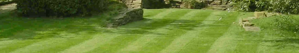 Reliable landscape installation for beautiful yards in Arcadia, FL by Cox Pest Control Management