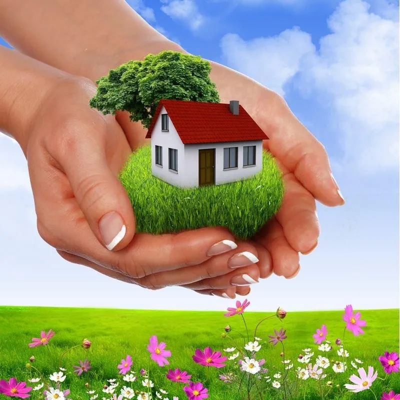 Top-rated landscape installation in Arcadia, FL by Cox Pest Control Management