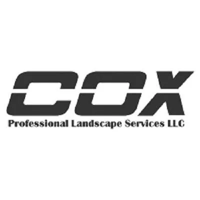 Custom yard cleanup service in Centennial, CO by Cox Professional Landscape Services