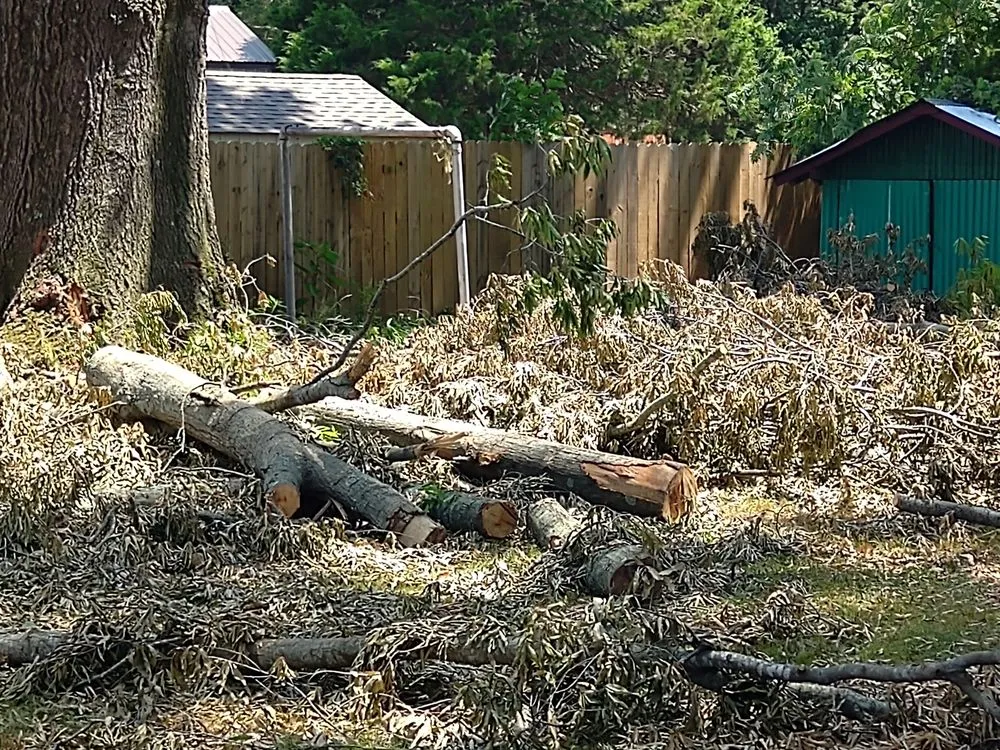 Custom landscape installation for homes in Jackson, TN by Cox Tree Removal