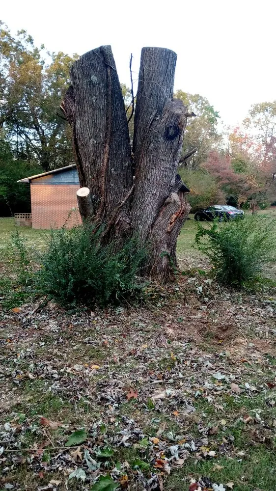 Trusted garden landscaping for residential properties across Jackson, TN - Cox Tree Removal