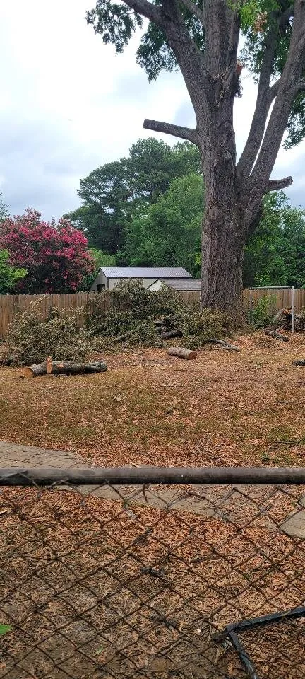 Custom landscaping services in Jackson, TN - Cox Tree Removal