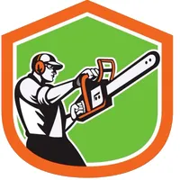 Top-rated outdoor landscaping in Jackson, TN - Cox Tree Removal