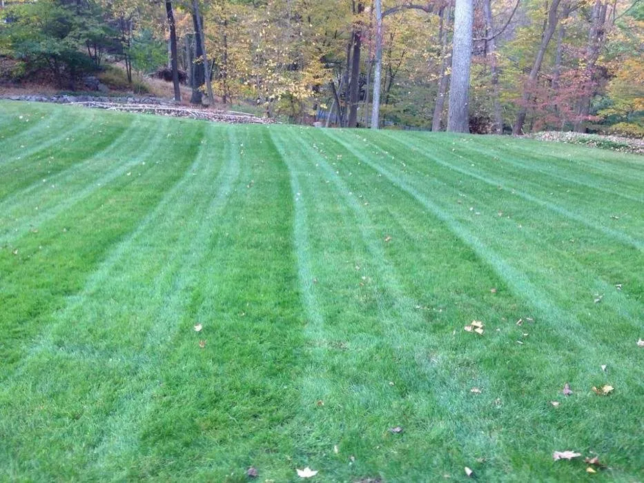 Reliable outdoor landscaping for residential properties across West Milford, NJ - Cox's Landscaping & Design