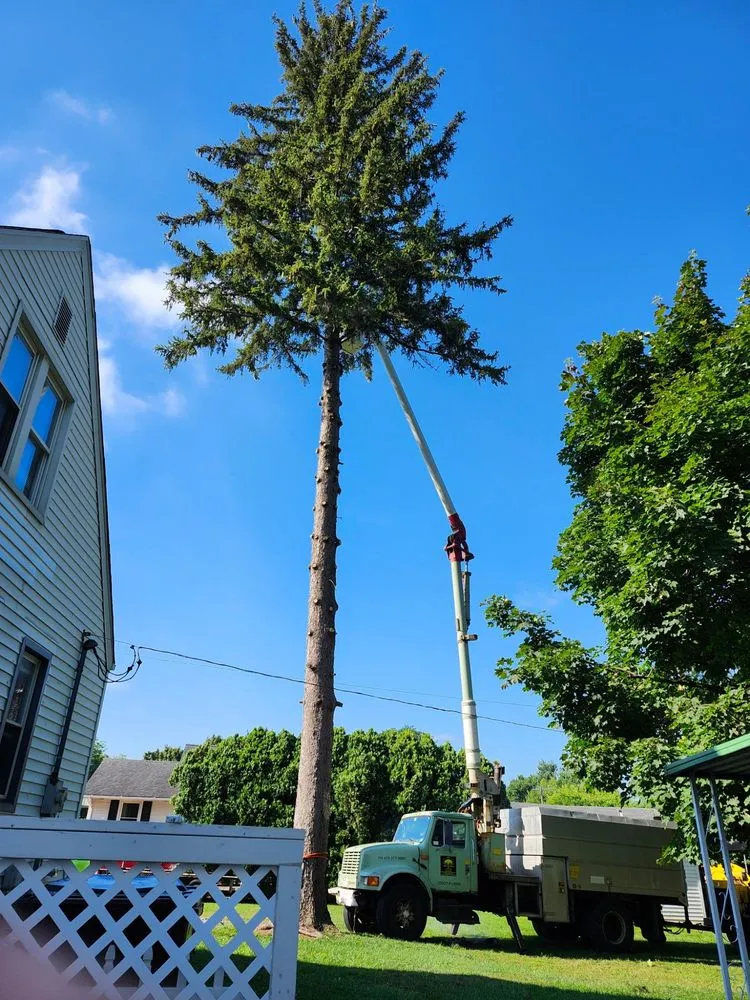 Local residential landscaping in Toledo, OH - Coxs Tree and Lawn Care