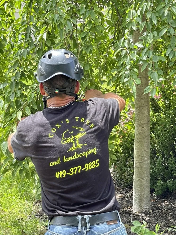 Reliable landscape installation in Toledo, OH - Coxs Tree and Lawn Care