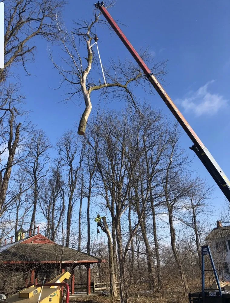 Trusted garden landscaping in Toledo, OH - Coxs Tree and Lawn Care