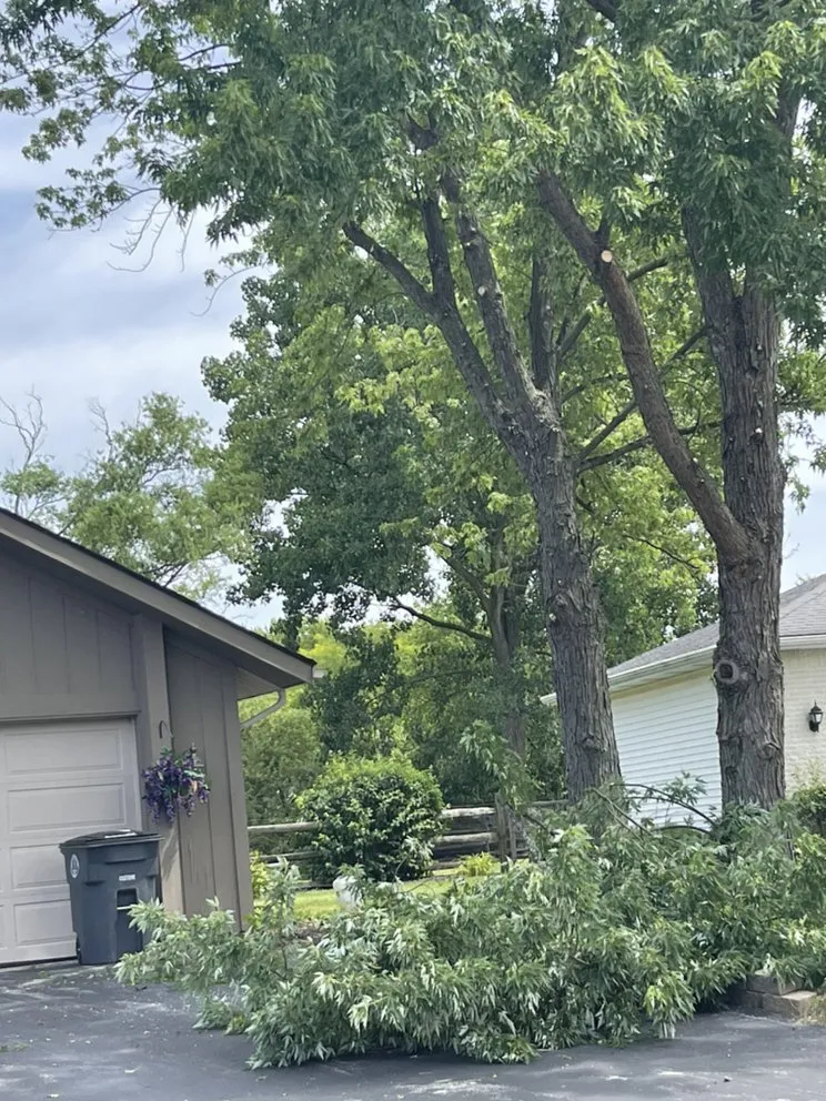 Affordable landscape installation in Toledo, OH by Coxs Tree and Lawn Care