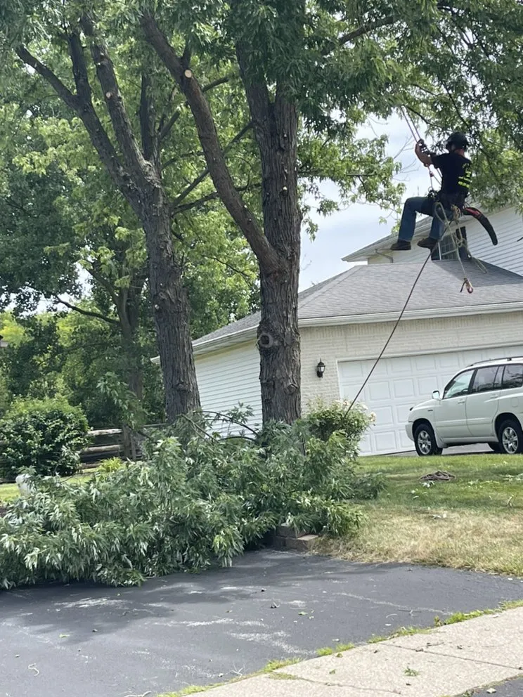 Trusted outdoor landscaping in Toledo, OH by Coxs Tree and Lawn Care