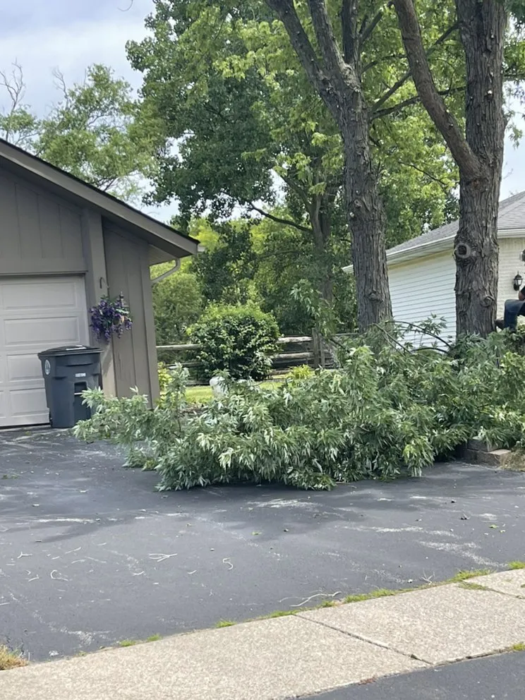 Expert lawn care service in Toledo, OH - Coxs Tree and Lawn Care