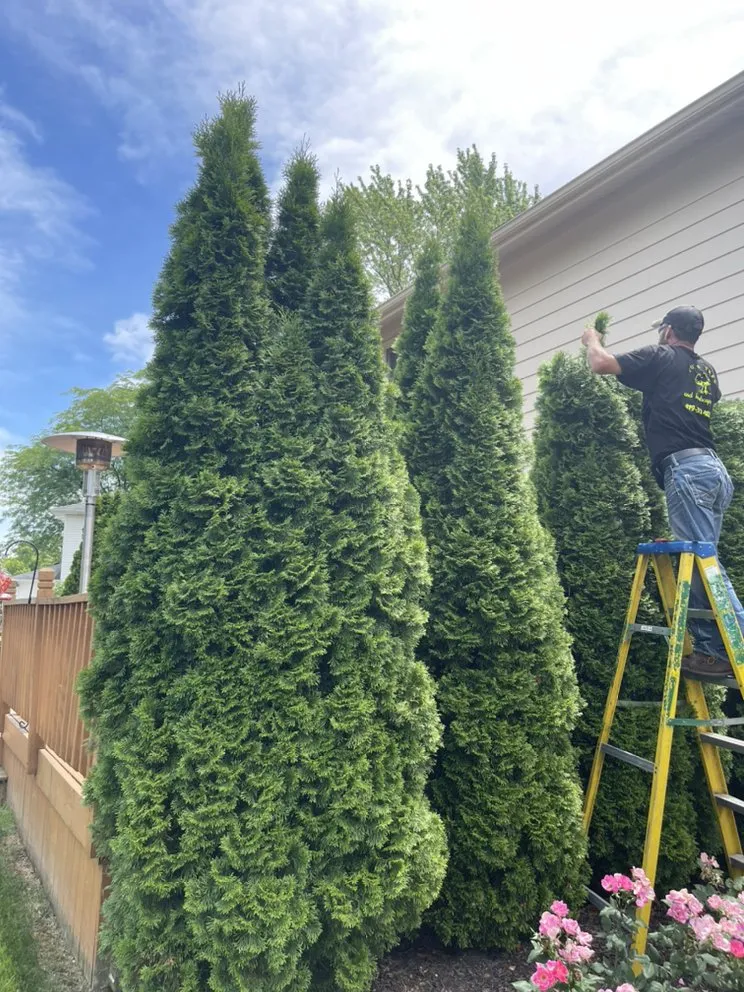 Local garden landscaping for year-round maintenance in Toledo, OH by Coxs Tree and Lawn Care