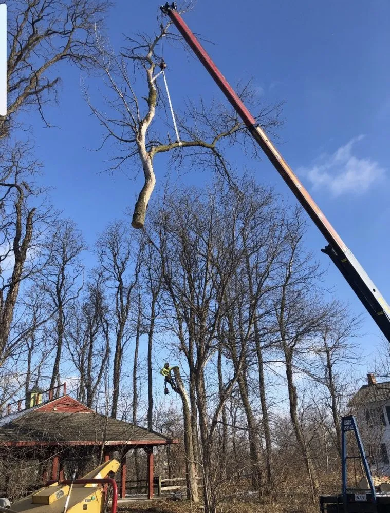 Top-rated yard maintenance experts serving Toledo, OH - Coxs Tree and Lawn Care