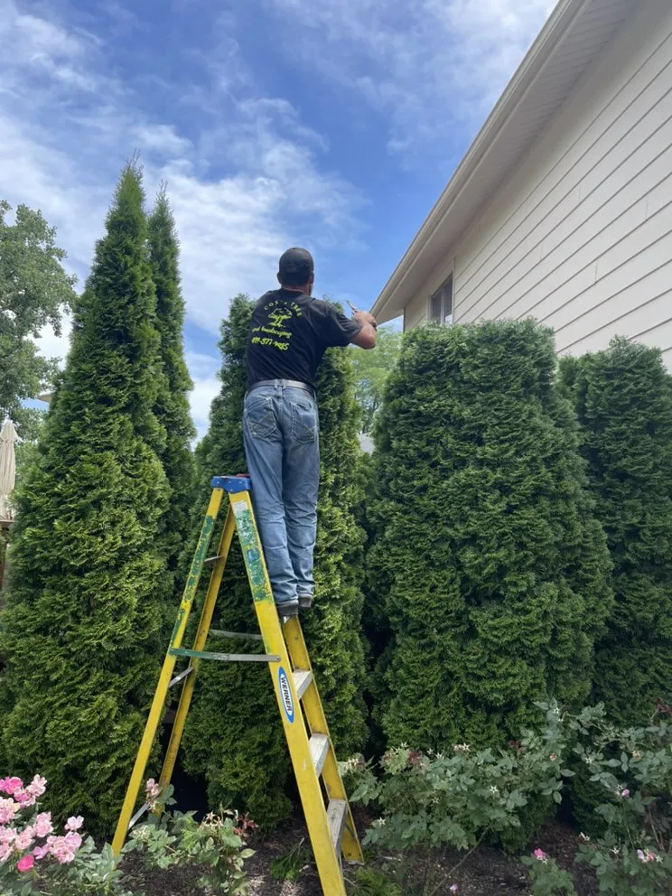 Top-rated landscape design with custom design across Toledo, OH - Coxs Tree and Lawn Care